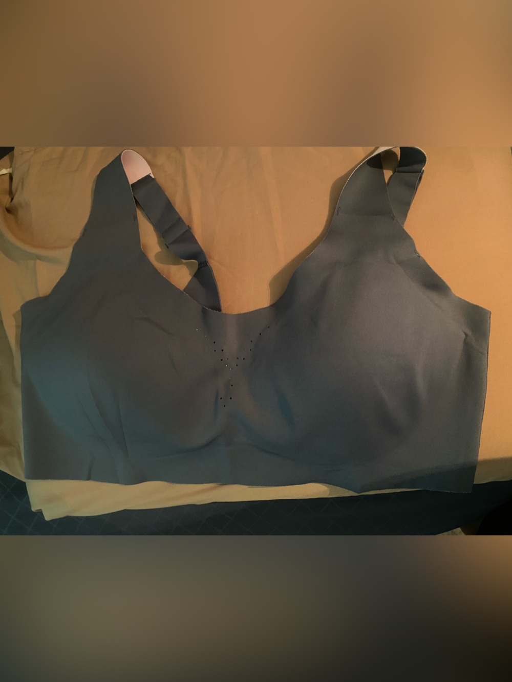 2 Avita Seamless Wireless Bra in Charcoal Gray( D- DD)